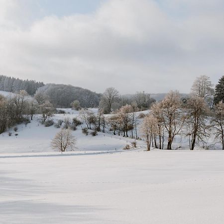 Jagdhaus In Der Rhoen In Voelliger Alleinlage Gersfeld Buitenkant foto