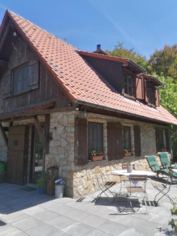 Jagdhaus In Der Rhoen In Voelliger Alleinlage Gersfeld Buitenkant foto