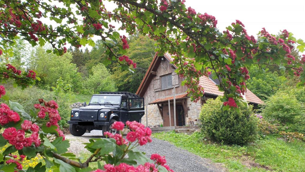 Jagdhaus In Der Rhoen In Voelliger Alleinlage Gersfeld Buitenkant foto
