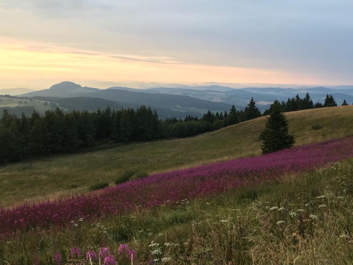 Jagdhaus In Der Rhoen In Voelliger Alleinlage Gersfeld Buitenkant foto