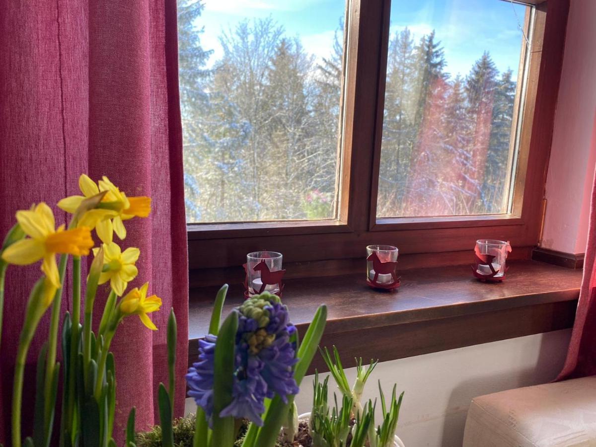 Jagdhaus In Der Rhoen In Voelliger Alleinlage Gersfeld Buitenkant foto