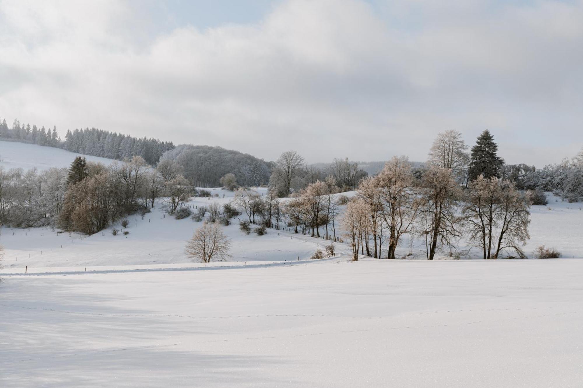 Jagdhaus In Der Rhoen In Voelliger Alleinlage Gersfeld Buitenkant foto